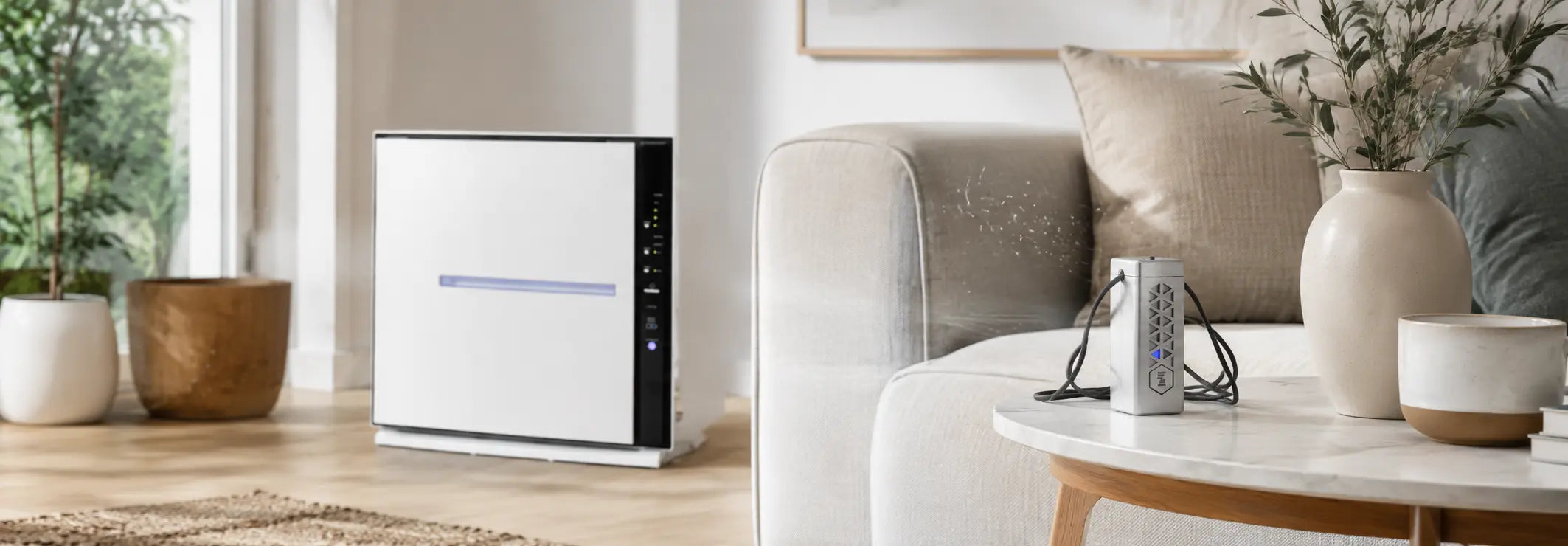 Beyond the Ion Buzz: Choosing an Ionic Air Purifier for NZ Homes