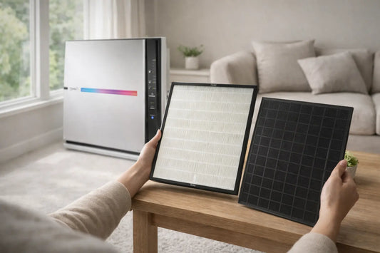 Person holding a HEPA filter and carbon filter next to an air purifier in a bright living room