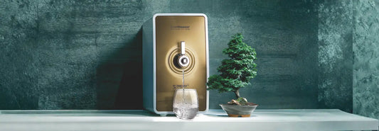 Glass of filtered water being filled from a dedicated filter tap in a modern New Zealand kitchen.