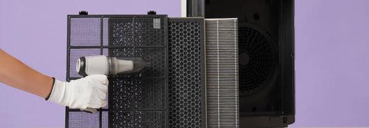 Air purifier with multi-stage filter components displayed in a bright modern NZ home living room