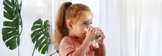 Edel Wasser countertop reverse osmosis water filter on a modern kitchen bench with a glass of filtered water
