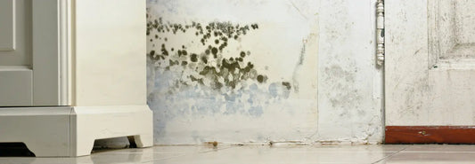 Air purifier in a damp NZ bedroom supporting cleaner room air alongside moisture control