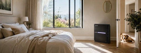 Air purifier in a NZ bedroom set up for airborne pollen, dust and pet dander