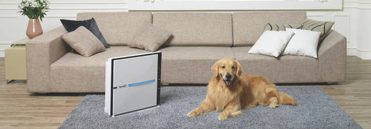 Air purifier in a New Zealand pet-friendly lounge with a dog and cat